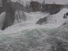 Am Rheinfall in Schaffhausen