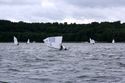 Optiregatta auf dem Werbellinsee