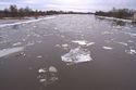 Treibeis auf der Oder