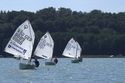 Optiregatta bei Stahl Finow auf dem Werbellinsee