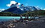 Cuernos del Paine