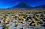Licancabur (5916m)