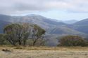 Am Mt. Hotham