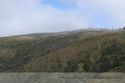Am Mt. Hotham