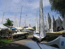 Fliegen - nervige Fliegen bei fast Windstille