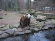 Tierprak Eberswalde