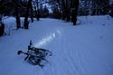 Lichttest im Wald