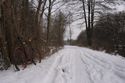 mit Elise im Schnee