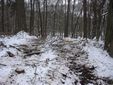 Schonende Waldarbeiten