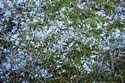 Aprilwetter im M&auml;rz