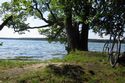 Am Werbellinsee