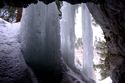 Tunnelgew&auml;chse