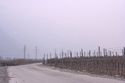 Wein-Energiew&uuml;ste