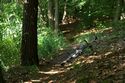 An der Schw&auml;rze