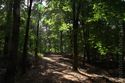 nordwestlich von Liepe