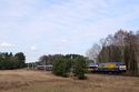Interconnex nach Rostock