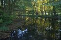 Teich an der Wehrm&uuml;hle Biesenthal
